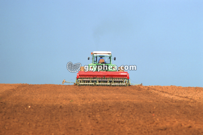 Semis du blé - gryphea.com